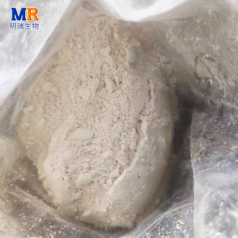 Plant Gum Adhesive for Bamboo Incense White Rubber Powder for Disc Mosquito Incense in stock Chemical Raw Material Incense Rubber Powder