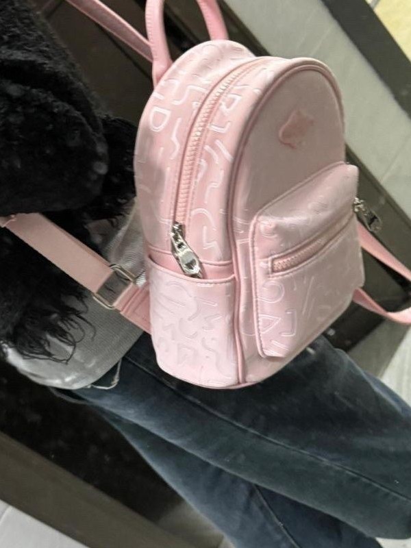 Niche 2024 Simple New Backpack Ins Casual Fashion Printed Backpack Lightweight Versatile School Bag Pink