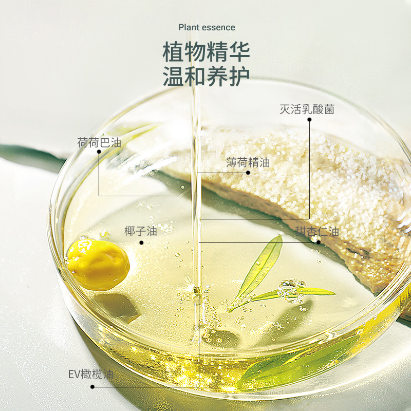 Dog and Cat Bath Shampoo 500ml Capacity Pet Shower Gel Quick Delivery Deodorizing Fluffy Hair Beauty