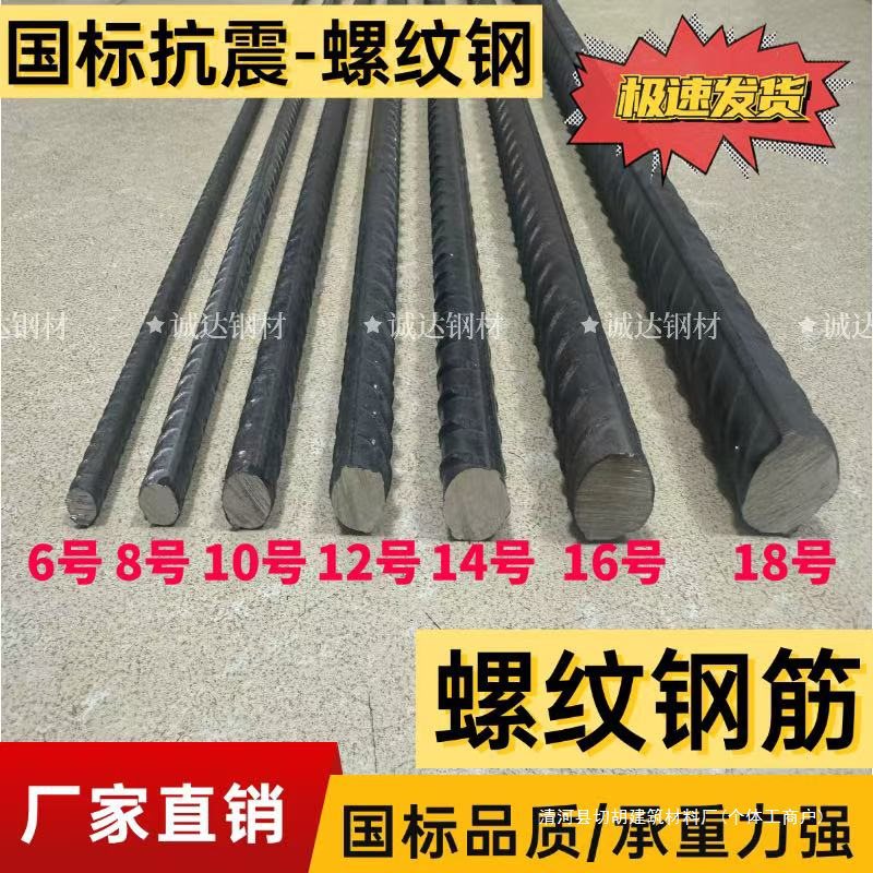 Threaded Rebar, Wall Construction with Embedded Anchors, Straight Rebar for Paving and Construction, Gardening Steel Rods, Sizes 6 to 25