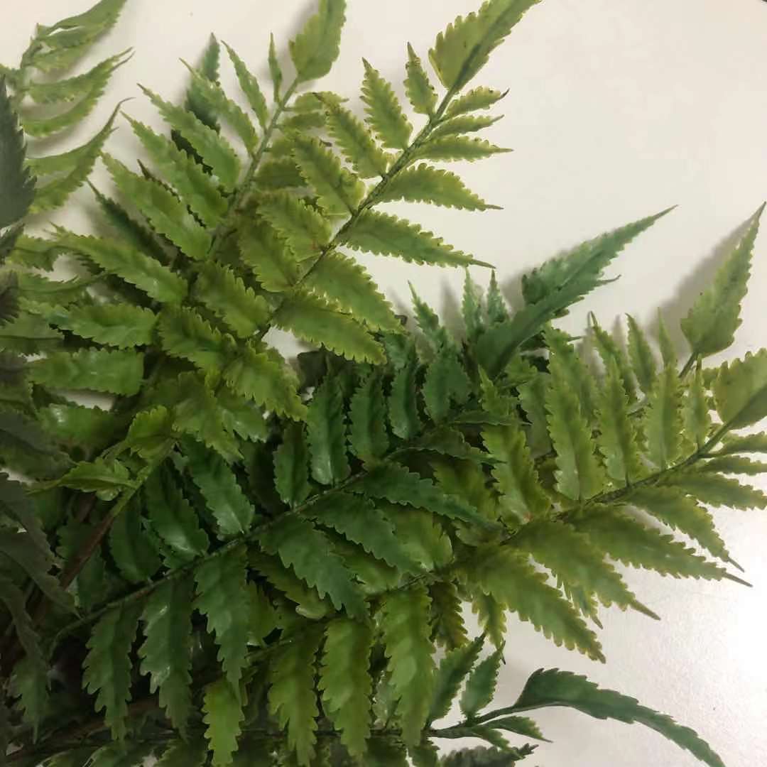 Wholesale High Imitation Persian Fern Grass, Various Styles of Grass Rows, Green Tiandong Landscape Plants, Fern Grass Leaves