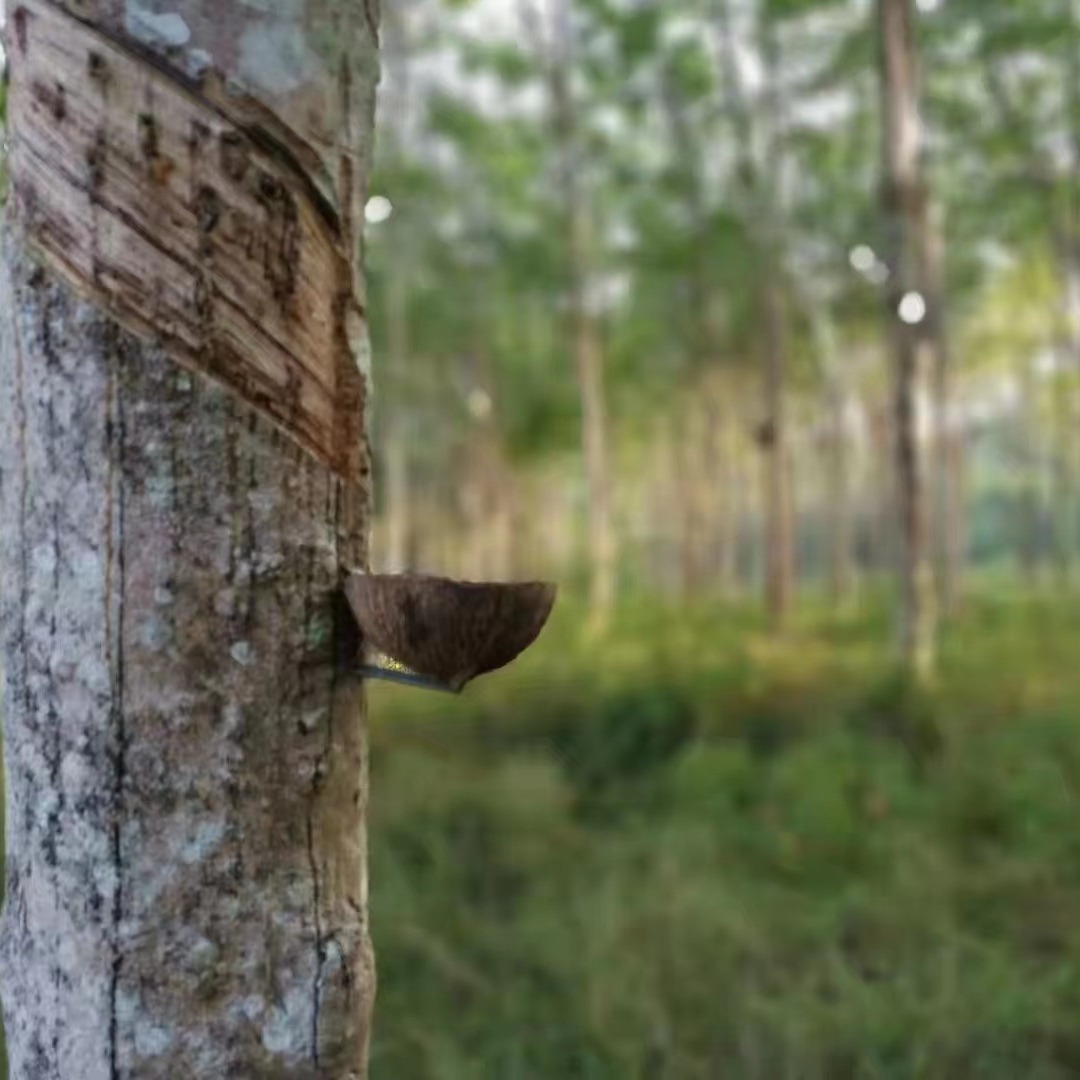 Natural Latex, Imported from Thailand, Hongmanliite Sticky High-stained Coupling Agent, New Product Launched Discount