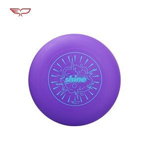 Wing Kun 145g Youth Campus Frisbee Outdoor Sports Adult Novice Training Cycling Competitive Star Floppy Disk