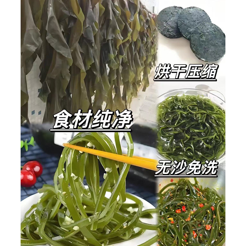 Kelp Silk Dry Goods Stall Whole Piece Ready-Made Round Cake Kelp Silk Sand-Free High Foam Cold Salad Wholesale Commercial New Goods