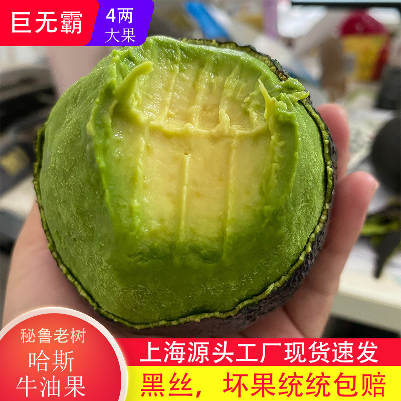 Avocado Large Fresh Fruit 15 Pieces in Season Ripe Ready-To-Eat Avocado Cream Baby Food Supplement Whole Box