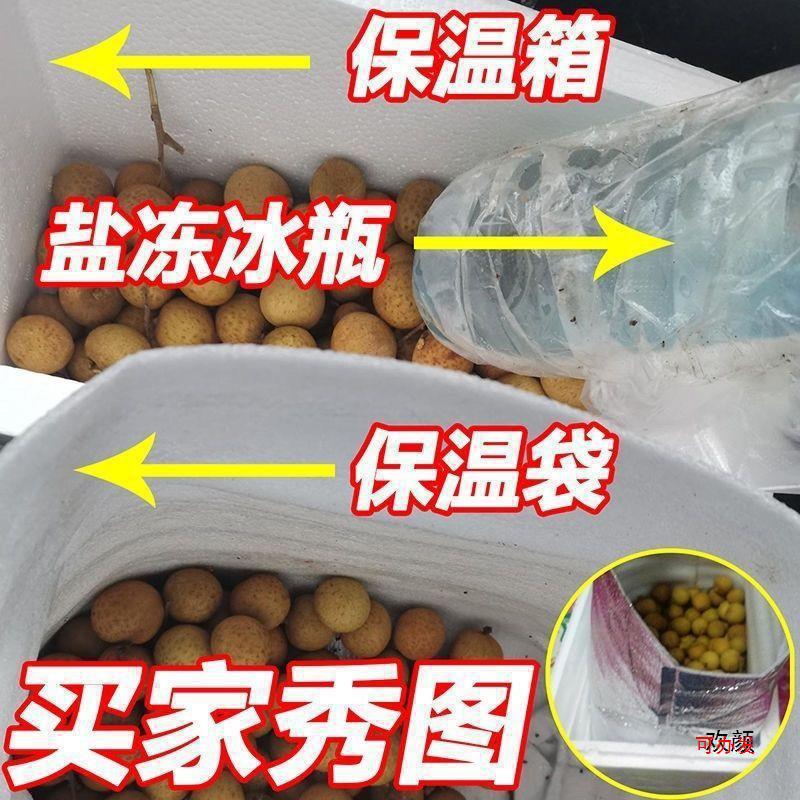 Freshly Picked Wholesale Fruits, Fresh Seasonal Longan, Fresh Fruits for Pregnant Women, Fresh Longan