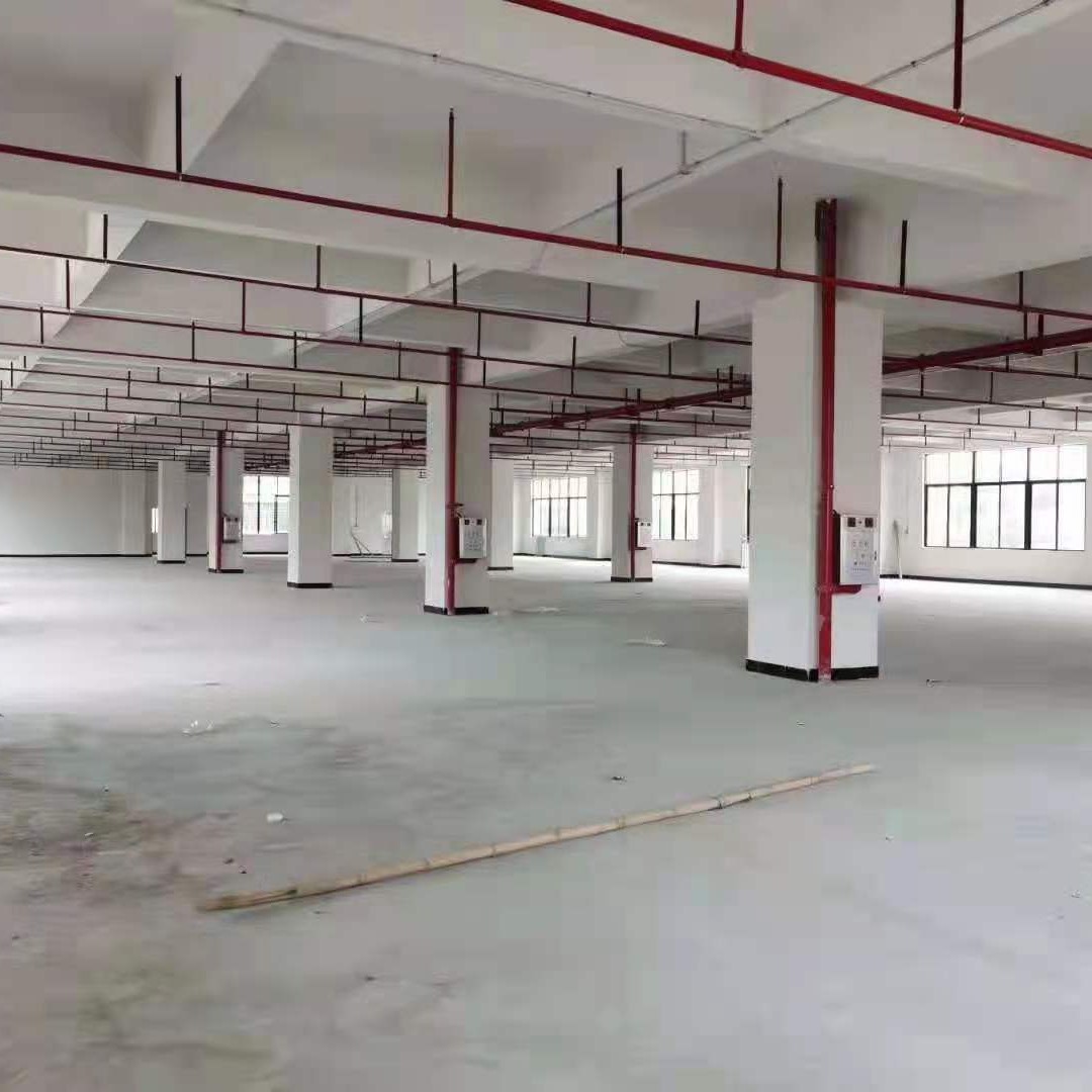 Songshan Lake Dalang Large Industrial Zone, 8000 square meters of the original landlord's single-house factory for rent