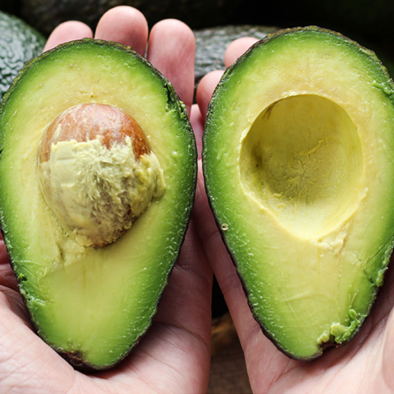 Avocado Wholesale Mexican Fresh Fruit Baby Nutritional Supplement Avocado Pregnant Women Fruit Large Fruit Dropshipping