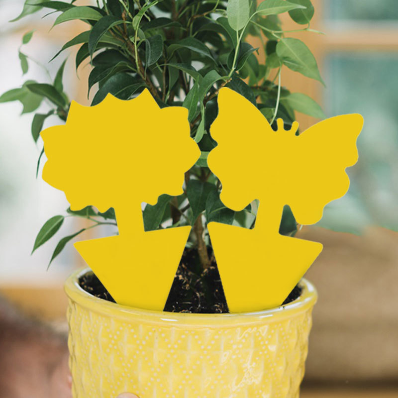 Cross-Border Foreign Trade Sticky Insect Board, Special-Shaped Butterfly Sticky Insect Board, Insect Trap, Yellow Sticky Insect Sticker, Yellow Board