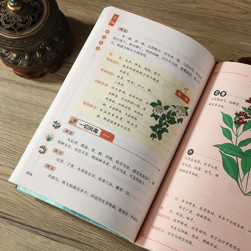 Hua Tuo's Complete Collection of Prescriptions, the Complete Heritage of Medical Classics, the Secret Prescriptions of Famous Doctors, the Symptomatic Application of Color Pictures, and the Detailed Explanation, You Can Understand It at a Glance