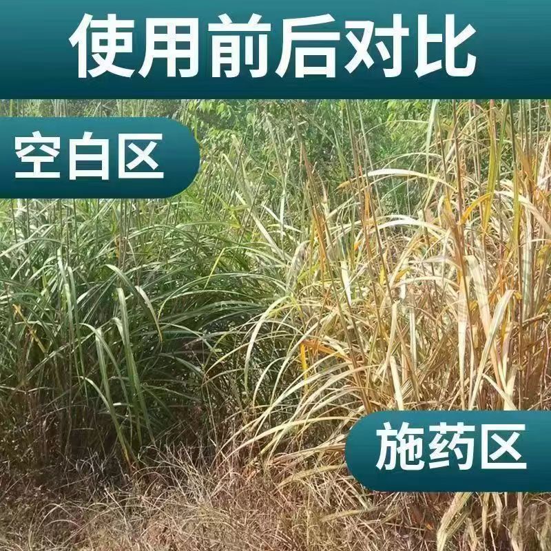 Jin Guan Leopard Essence Grass Ammonium Phosphate Salt Kills Malignant Weeds Small Flying Puff Ox Tendon Orchard Tea Garden Herbicide Root Rot Agent