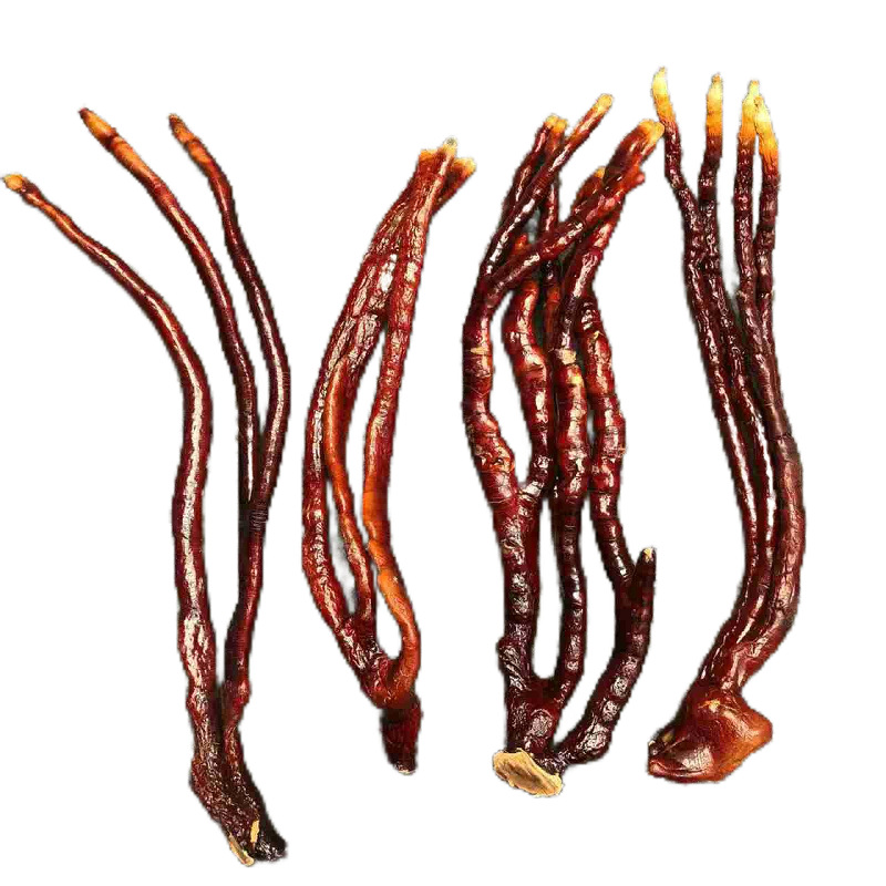 Deer Antler Ganoderma Lucidum Spore Body, High-Quality Raw Materials from Changbai Mountain, All Categories of Ganoderma Lucidum Origin Manufacturers