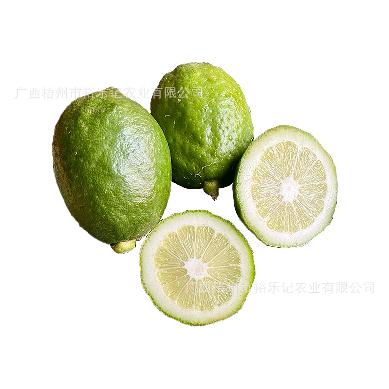 【Direct from the Origin】Guangdong Perfume Lemon Grade 1 Fruit, Fresh for Milk Tea Shops, 5 Pounds 5kg Directly from the Source, Sour and Fragrant