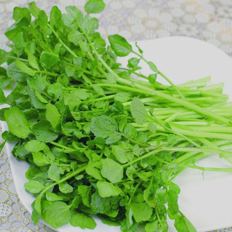 Watercress Seeds, Four-Season Vegetable Seeds, Water Mustard Vegetable Seeds, Potted Vegetable Seeds, Small Green Vegetable Seeds