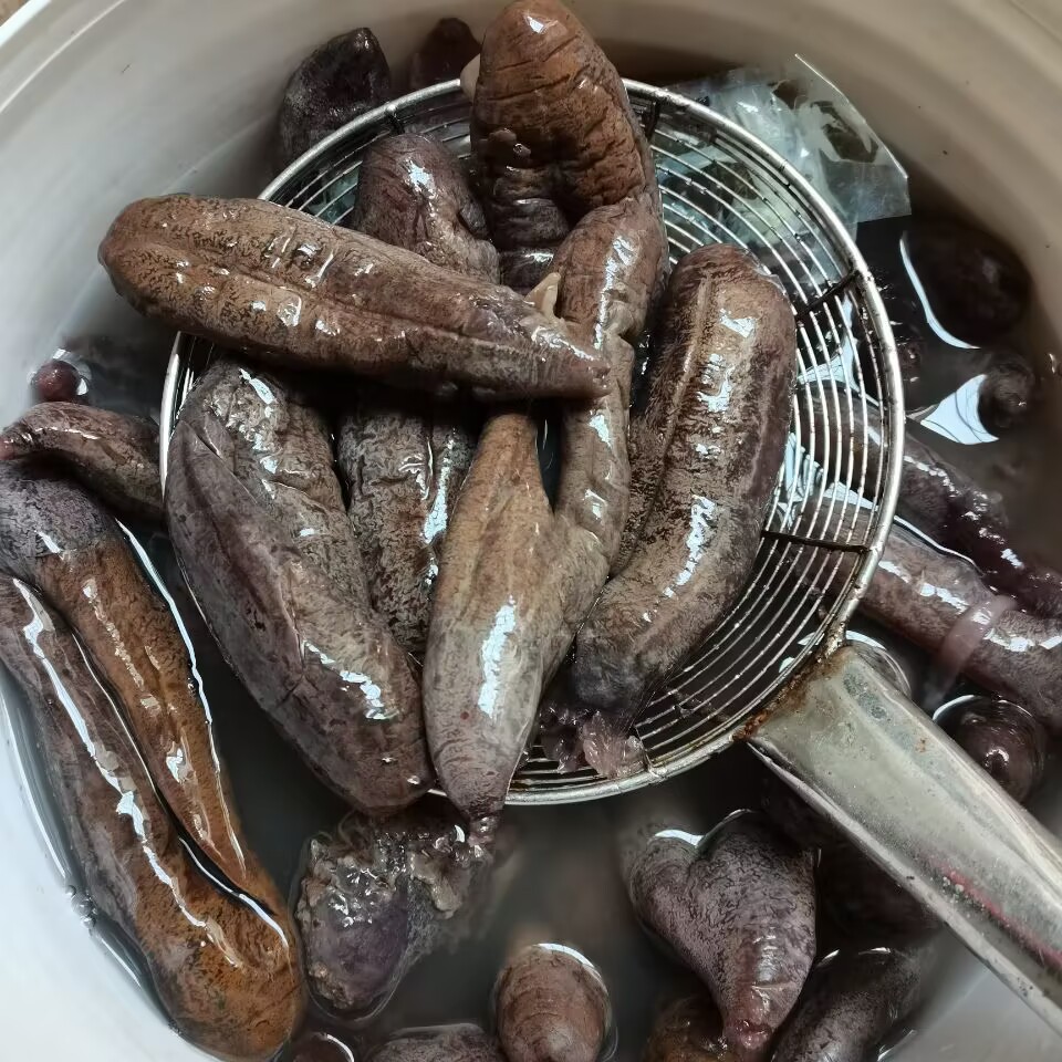 Medium Eggplant Ginseng, No Mud, Salt in the Vat, High Swelling, Thick Flesh, Even Size, Skin Ginseng