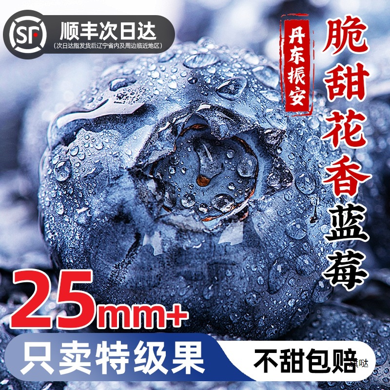 Свежие голубики, свежие фрукты, цветочный аромат, высококачественные фрукты, голубика, Гаошань, Yi Ke, Shunfeng