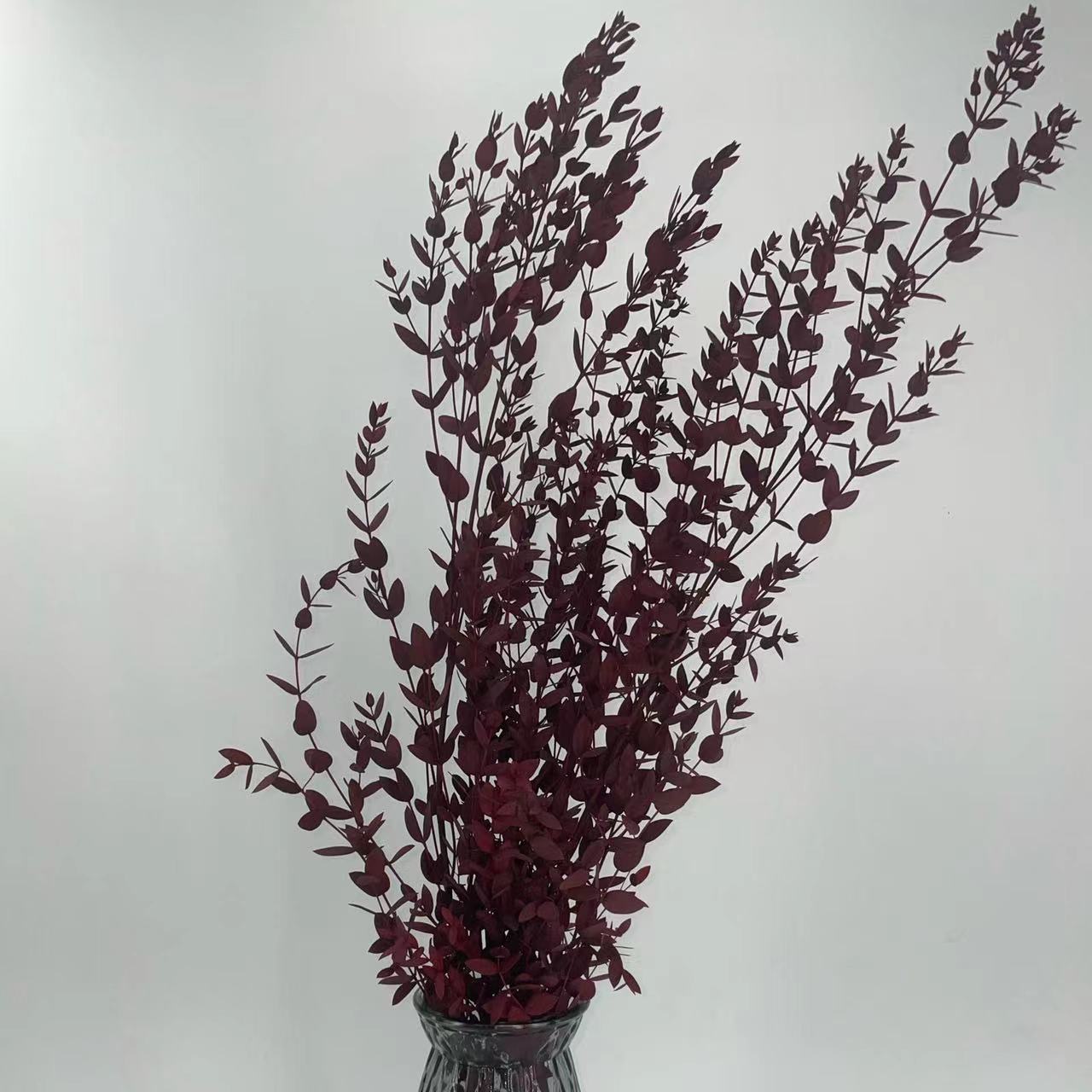 Yongsheng Fine-Leafed Eucalyptus Yunnan Yongsheng Flower Dried Flower Manufacturer Directly Supplies Small-Leafed Eucalyptus and Beautiful-Leafed Eucalyptus