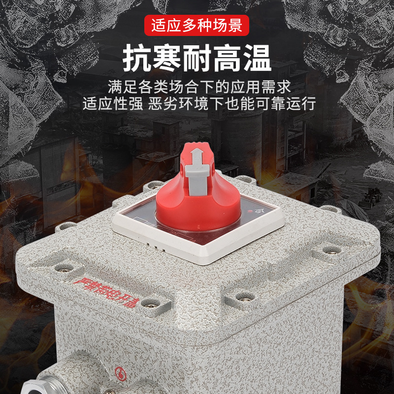Explosion-proof circuit breaker distribution box explosion-proof air switch 10A25A32A63A control box leakage protection empty switch