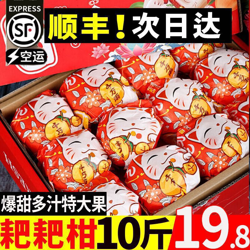 Sichuan Meishan Raking Mandarin Authentic Pujiang Chunjian Raking Mandarin Seasonal Fresh Fruit Non-Ugly Mandarin