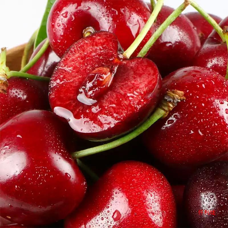 Chile cherries 2.50kg gift box j jjj big 3j fresh fruit postage whole box