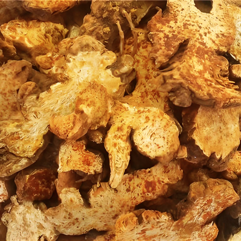 Wholesale Atractylodes kg Price Inner Mongolia Cinnabar Point Atractylodes High-Quality Sources