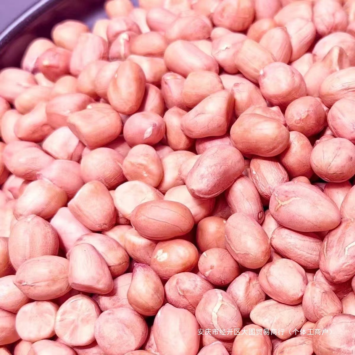 Fresh Peanuts, New Bulk Powder, White Skin, Fresh Pink Peanuts, Commercial Household White Sand Peanuts
