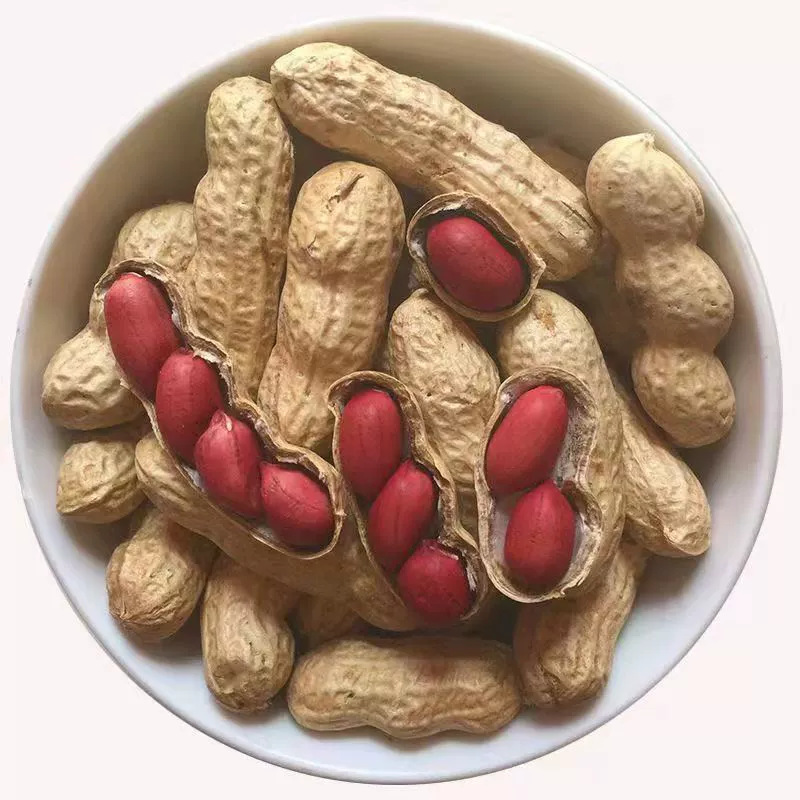 Red Peanut Fresh Bag Farm Dried Four Peanut Kernel Grain Cereals Shelled Red Peanut