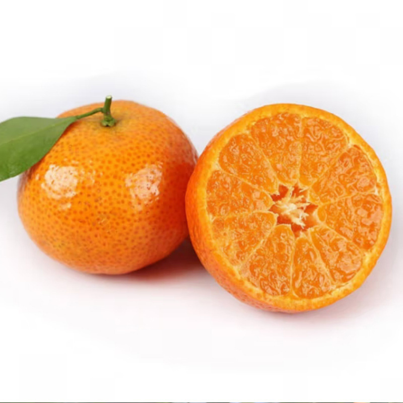 Guangxi Honey, Sugar Orange, Fragrant Small Honey Orange, Sweet and Sour Orange Juice, Golden Autumn Sand Fresh Fruit