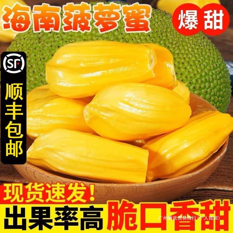 Hainan Sanya Jackfruit, a Whole Fresh Fruit, Freshly Picked in Season, Wholesale Thai Jackfruit