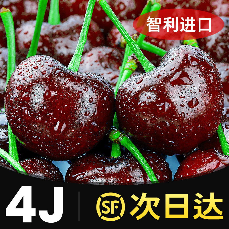Chilean Large Fresh Imported Cherries Seasonal Cherries 2.5kg Whole Box 4J3 Gift Box for Pregnant Women Free Shipping