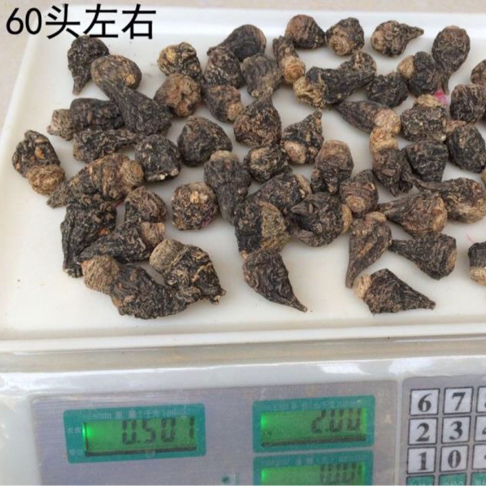 Chinese Herbal Medicine Black Maca Yunnan Lijiang Black Maca Dried Fruit Slices Soaked in Wine for Adults? Ka Can Help Maca Powder