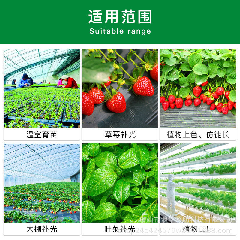 Full Spectrum Imitation Sunlight Plant Fill Light Chrysanthemum Strawberry Passion Dragon Fruit Flying Saucer Plant Growth Lamp Wholesale