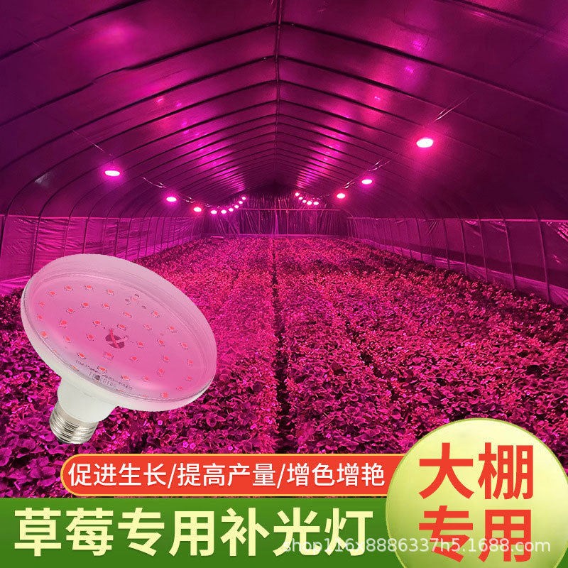 Светильник для роста растений LED лампа для клубники, полный спектр, обогреватель для рассады, овощная теплица, лампа для теплицы