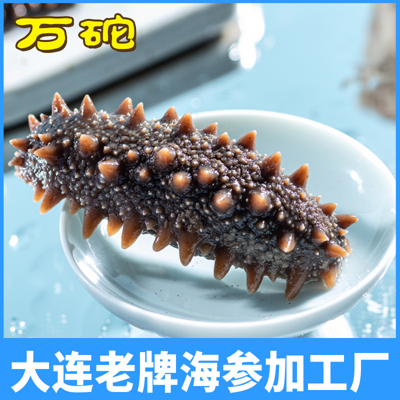 Оптовая продажа дацзяньского морского огурца, готовый к употреблению