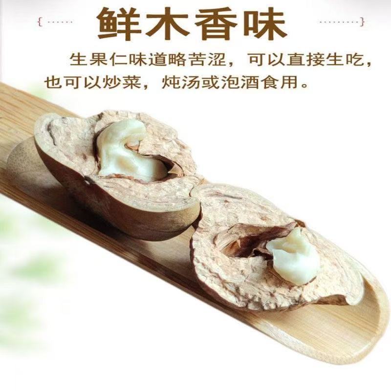 Fengliu Fruit Stone Fruit Spot Wholesale Yin Yang Zi Double Kidney Men's Health Soaking Wine Ingredients Bulk Undertake Large Orders