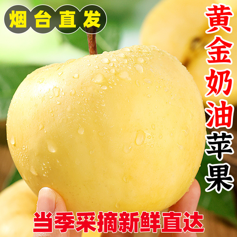 Authentic Shandong Yantai Golden Cream Apples, Seasonal Whole Box 5/ 5kg , with Fruit Embroidery, Cracked Skin, Rock Candy Core, Ugly Apples