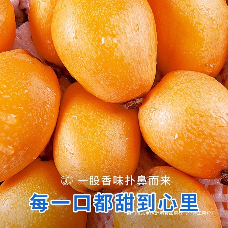 Sf Express Free Shipping Fresh Large Loquat Fruit 2.5kg Freshly Picked Seasonal Fruit for Pregnant Women Putian Shufeng Pipa Whole Box 3
