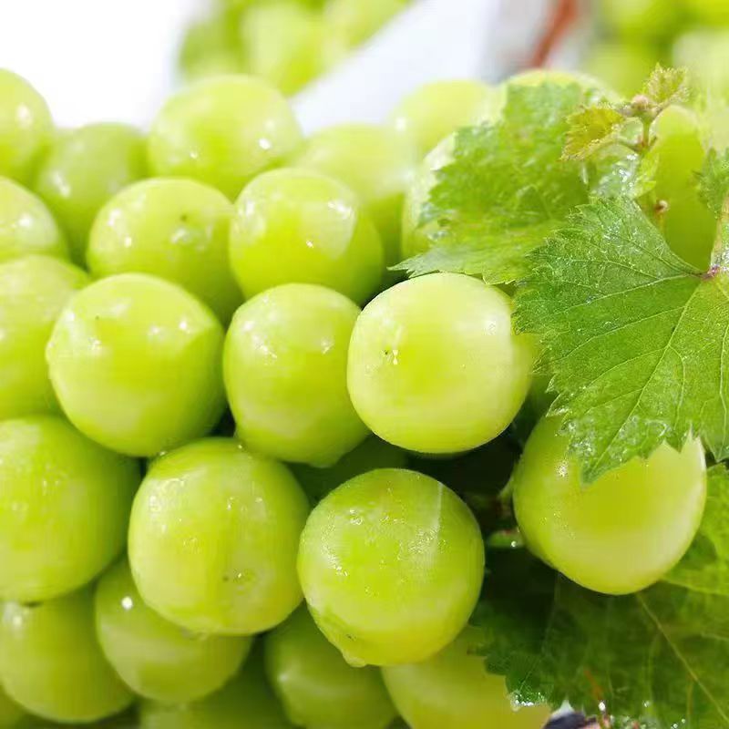 Виноград Солнечная Роза Циньван свежий фрукт