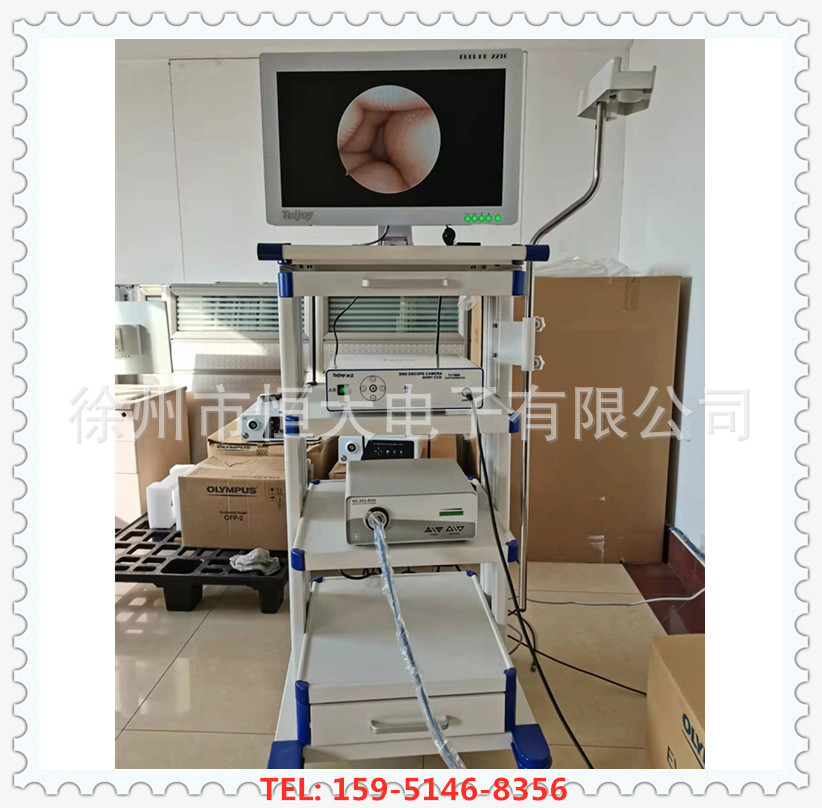 Wholesale Ear Nose Throat Low Temperature Plasma Ear Nose Throat Endoscope Imaging System Cold Light Source Monitor Camera
