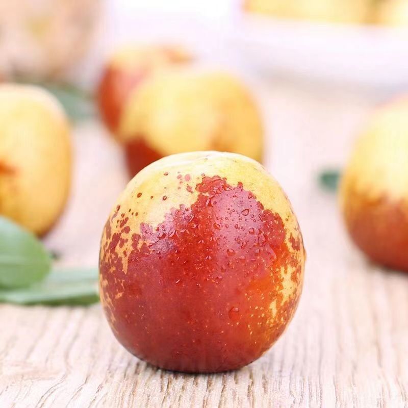 Shaanxi Dali Winter Jujube, Seasonal Fresh Jujube, Whole Piece Free Shipping, Direct Delivery from the Place of Origin, Fresh Winter Jujube, One Piece Drop Shipping
