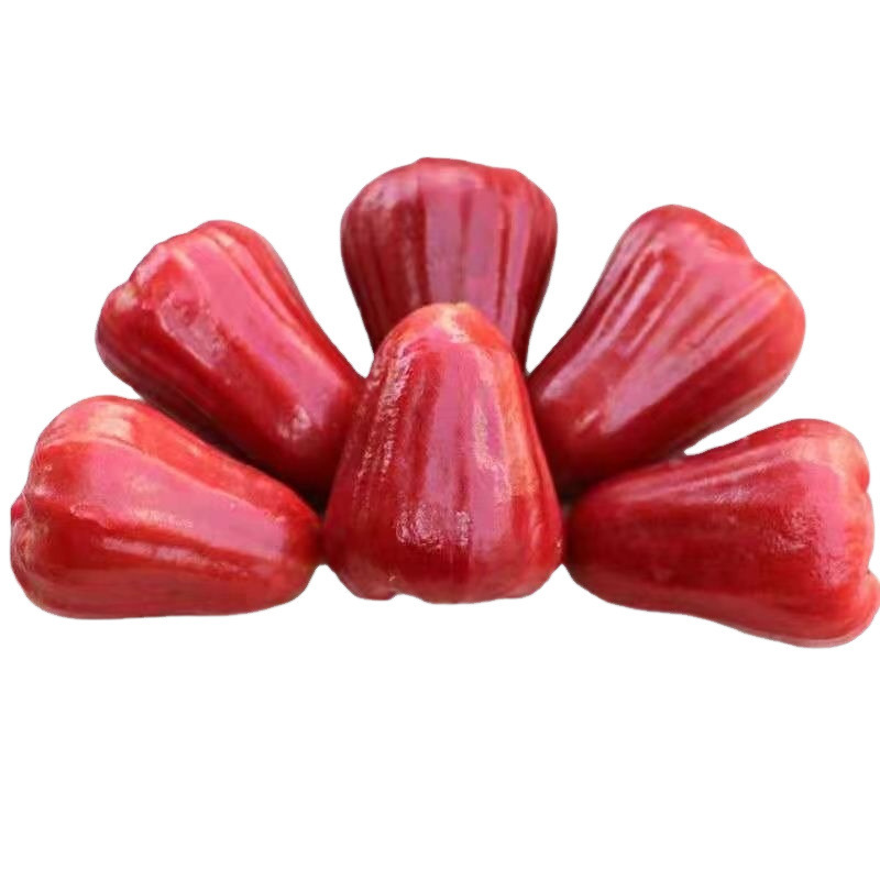 Lotus Mist Hainan Black King Kong Fresh Fruit 2.5kg Tropical Fruit Pregnant Women Fruit Fairy Fruit 0.5kg Wholesale