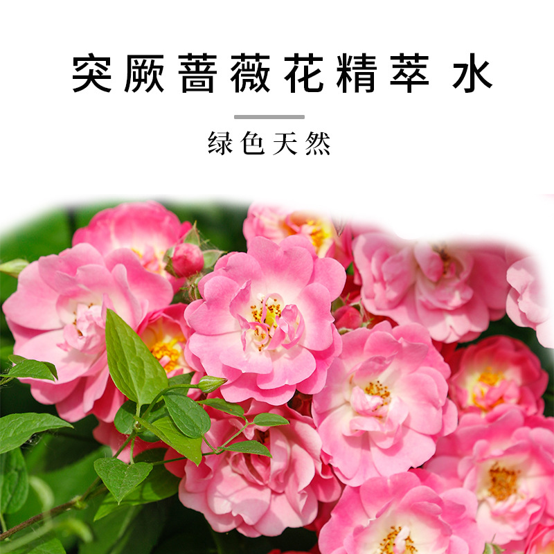 Shake the sound with the top base Damascus rose pure dew original liquid mild moisturizing toner toner pure dew wholesale