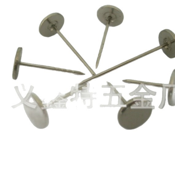 Factory supply anti-theft nail super long nail flat head nail 30-40mm smooth plastic drop stainless steel P01 with slot