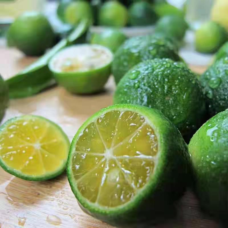 Hainan Fresh Small Green Orange Fruit, Fresh Seasonal Green Kumquat, Lemon Sour Green Orange Peel, Thin Juice, Milk Tea Shop Exclusive