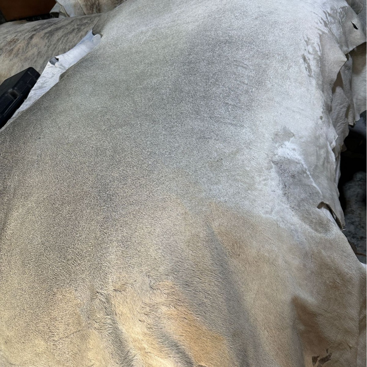 Factory direct sale of cattle and horse hair natural pattern first layer leather horse leather cowhide short hair carpet shoes tray leather