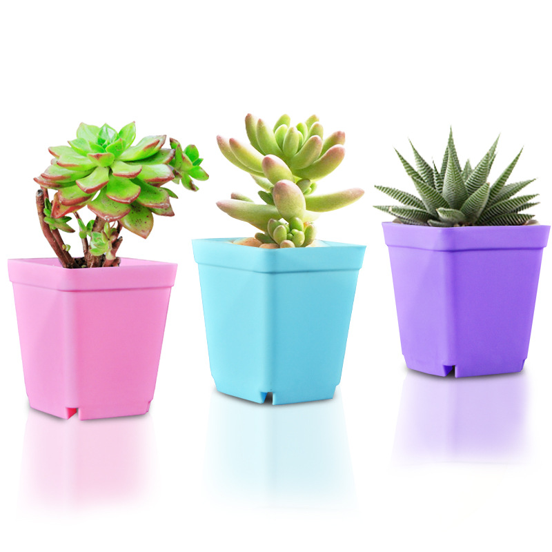 New Mini Small Square Pot Seven-Colorful Small Flower Pot Succulent Pot Small Black Square Plastic Pot Seedling Pot Manufacturer Wholesale