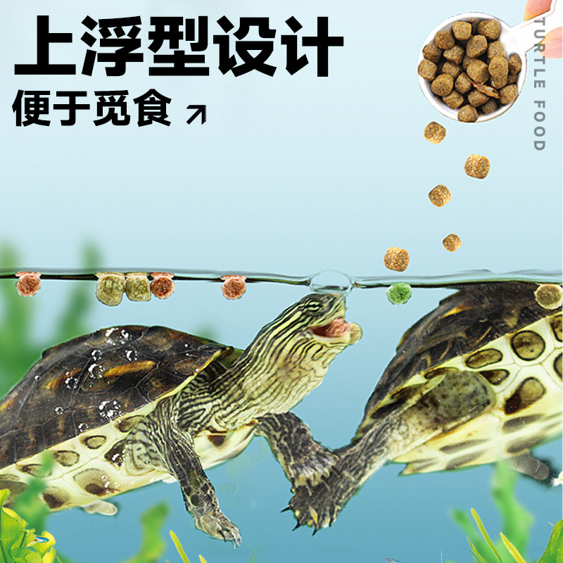 Turtle Food Wholesale Tortoise Ink Turtle Fish and Shrimp Dry Universal Pellet Feed Mealworm Turtle Food Hatchling Breeding Turtle Feed