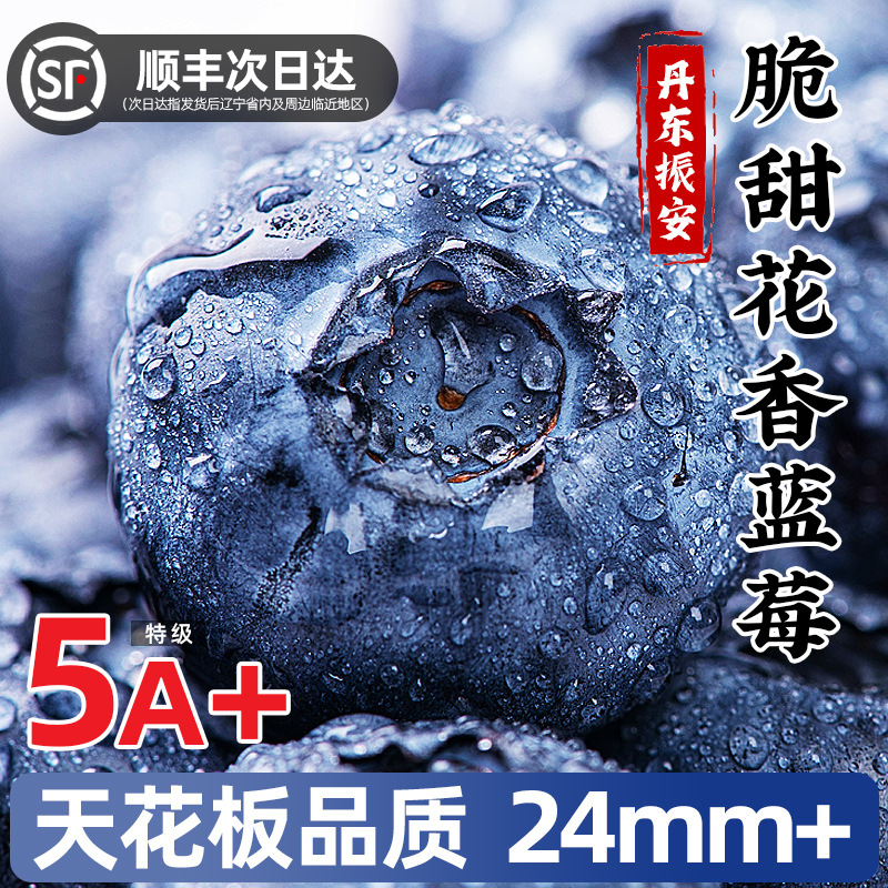 Blueberry Fresh Fruit Blueberry Fresh lL25 Flower Fragrance Non-Yunnan Blueberry High-end Fruit Blueplum Gaoshan Yike Shunfeng