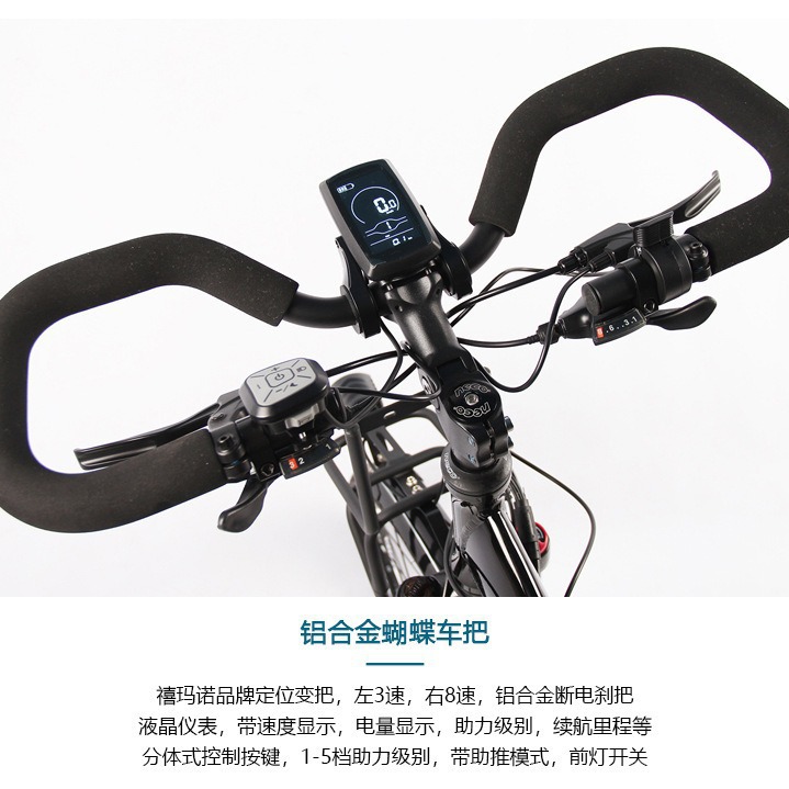 Lithium Battery Travel Bike Variable Speed Men's and Women's Adult Butterfly Handlebar Long-Distance Riding Mountain Bike Commuter Road Bike