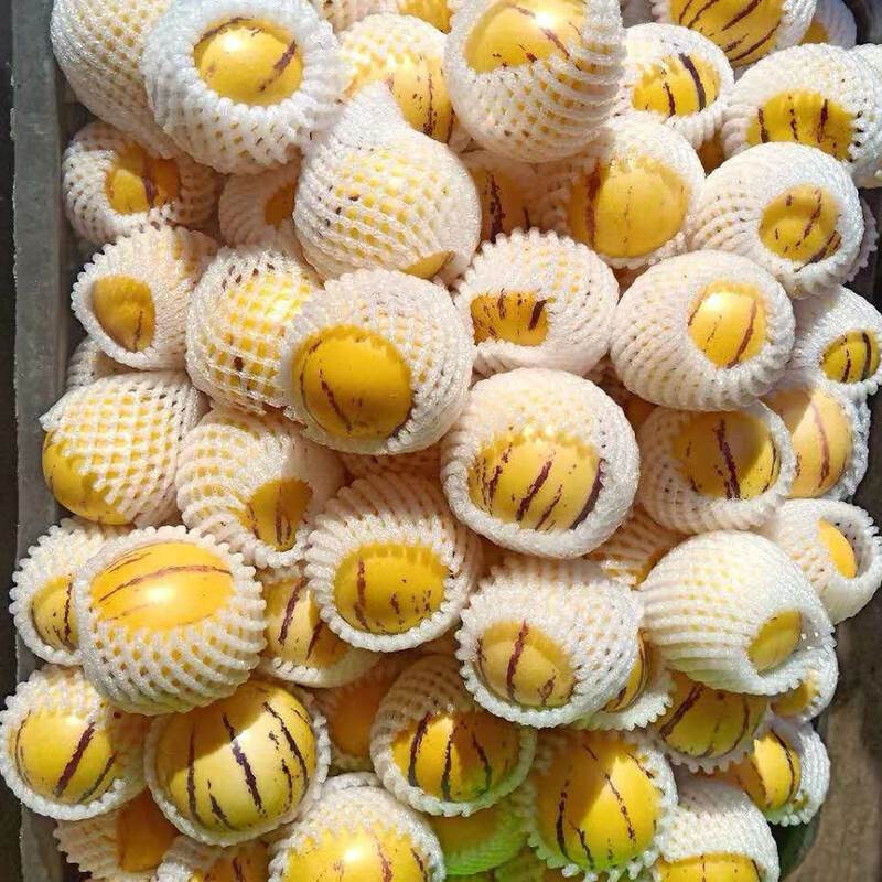 Fresh Yunnan Ginseng Fruit 5kg Large Yellow Flesh Ripe Fruit Whole Box